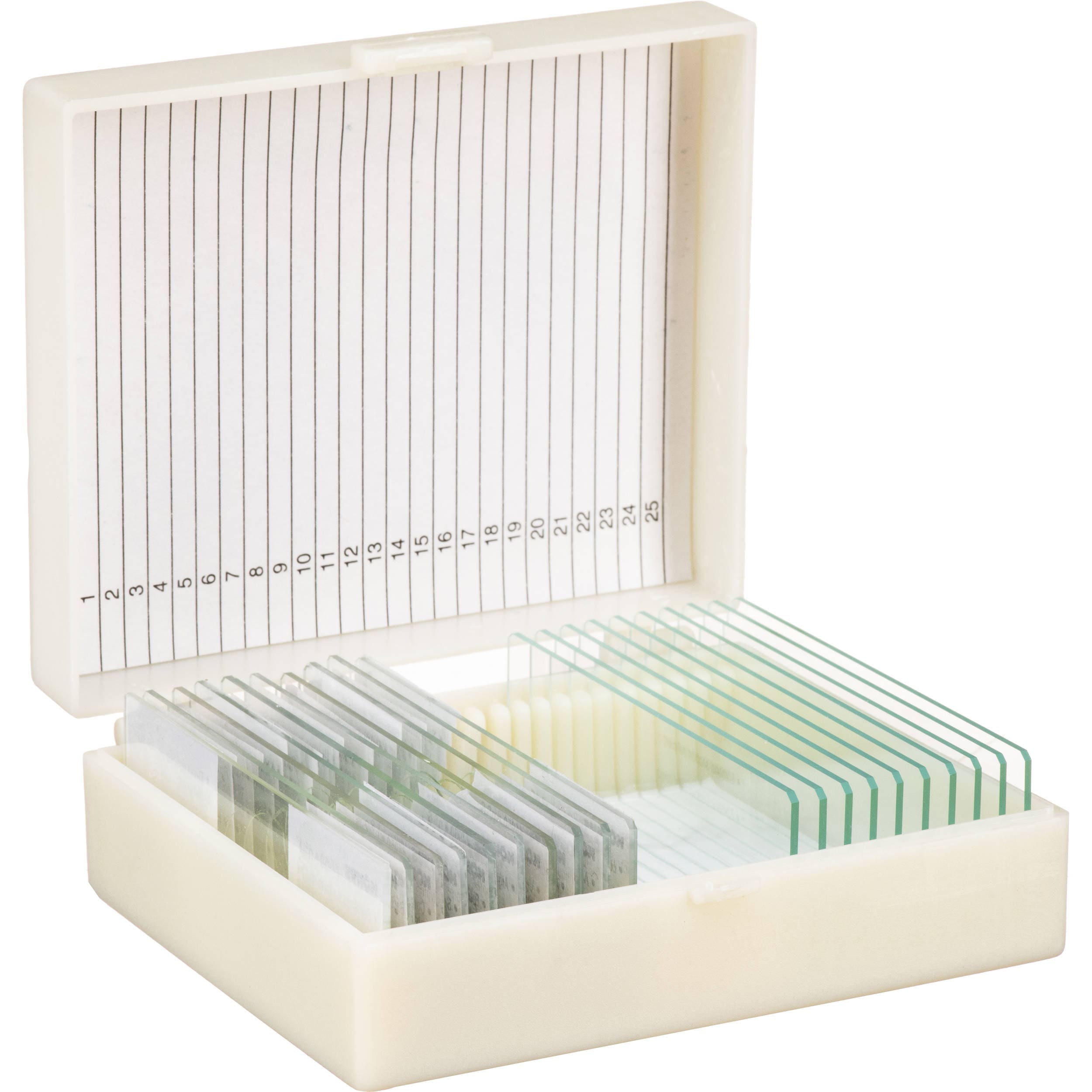 Set Muestras Histológicas Anatomía II (10 Muestras)